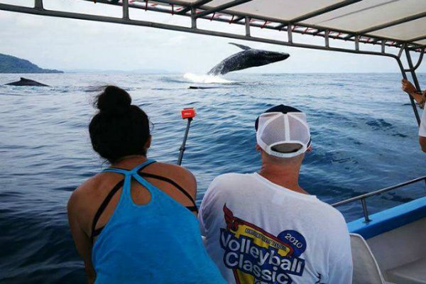 costa_rica_whales_001